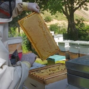 Beyaz Petek Bal - 1000gr