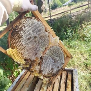 KARAKOVAN BALI - 1000GR